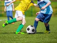 独家揭秘,期双色球精,准预测,500彩票网官方,500万网彩票,500彩票,500万彩票网