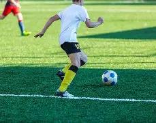 海滨独选,海滨号码天,天预测,500彩票网官方,500万网彩票,500彩票,500万彩票网