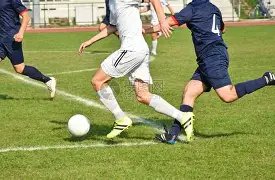 彩市新锐,双色球第,期独家剖析,500彩票网官方,500万网彩票,500彩票,500万彩票网