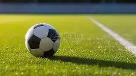 【绝杀蓝球秘籍】双色球2025140期必中攻略：揭秘独门杀蓝技巧——02码不可错过！