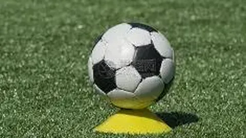 【唐三爷独门秘籍】揭秘26034期排列三必中攻略：复式胆拖技巧，一招助你抱走大奖！